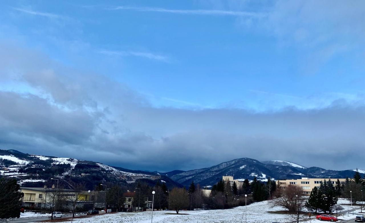 Bl - The Executive Suite, Boru - 24Hr Self Check-In, Free Private Parking, Balcony With Mountain View, 5 Minute Walk To City Center Banska Bystrica Exterior photo