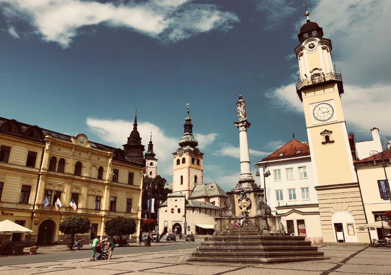 Bl - The Executive Suite, Boru - 24Hr Self Check-In, Free Private Parking, Balcony With Mountain View, 5 Minute Walk To City Center Banska Bystrica Exterior photo